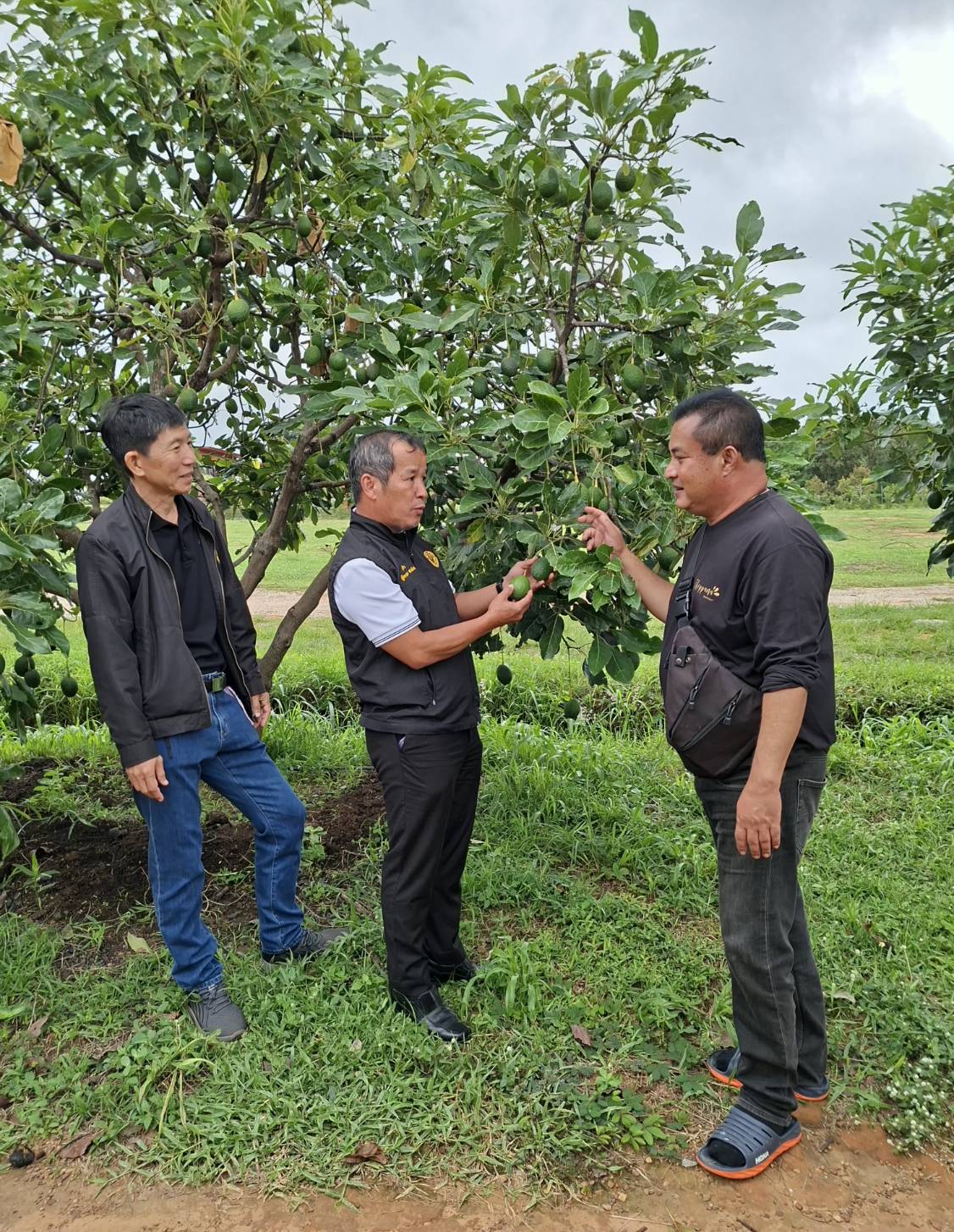 title - ผู้ตรวจราชการ ส.ป.ก. ประชุมตรวจติดตามความก้าวหน้าผลการดำเนินงานตามแผนการตรวจราชการของ สำนักงานการปฏิรูปที่ดินเพื่อเกษตรกรรม ประจำปีงบประมาณ พ.ศ. 2569 รอบที่ 2  เขตตรวจราชการที่ 13 จังหวัดชัยภูมิ